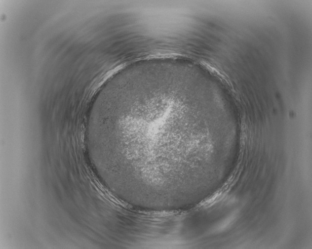 X0000059101401200510211621