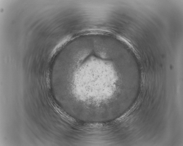 X0000059101403200510211621