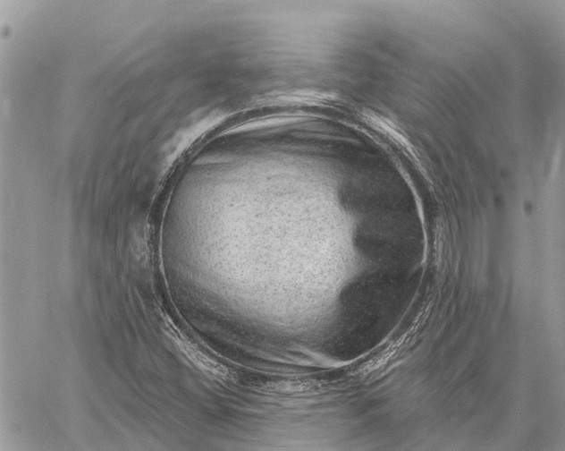 X0000059101404200510211621