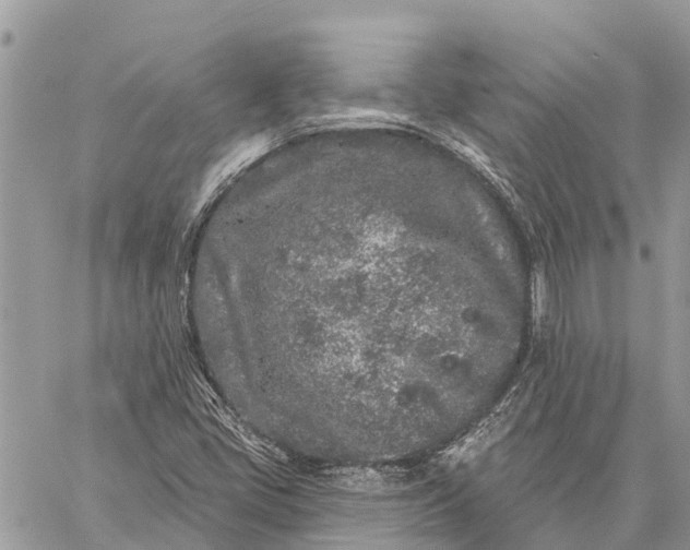 X0000059101405200510211621