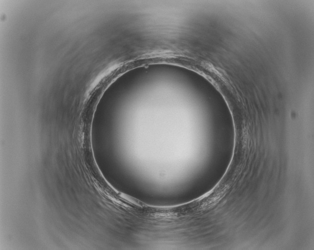 X0000059101406200510211621