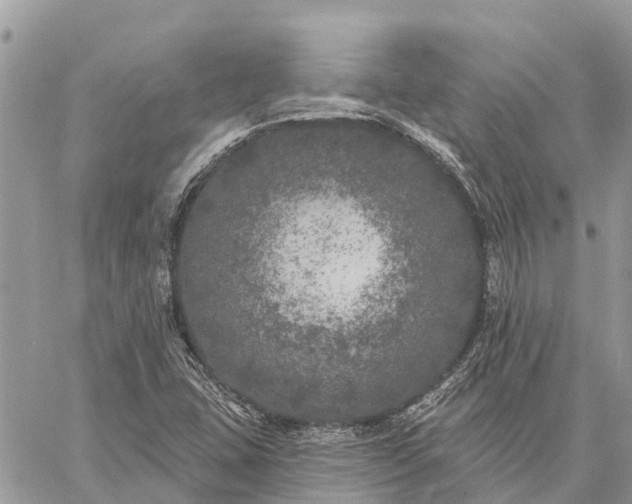 X0000059101407200510211621