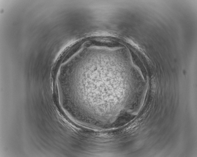 X0000059101408200510211621