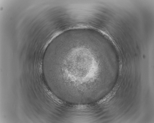 X0000059101409200510211621