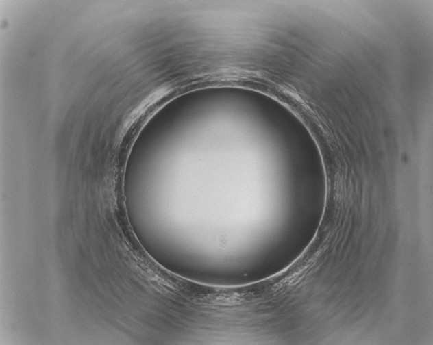 X0000059101410200510211621