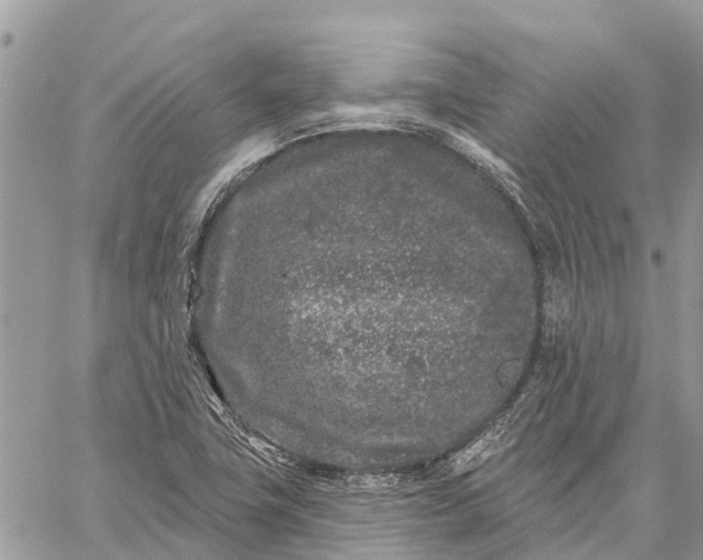 X0000059101411200510211621