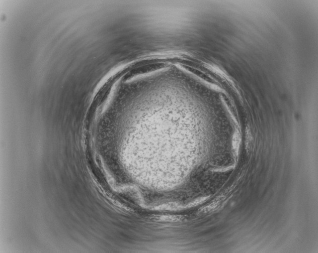 X0000059101412200510211621