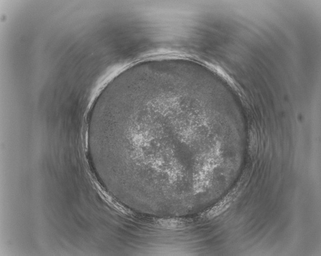 X0000059101413200510211621