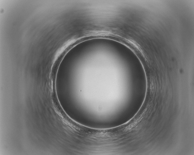 X0000059101414200510211621