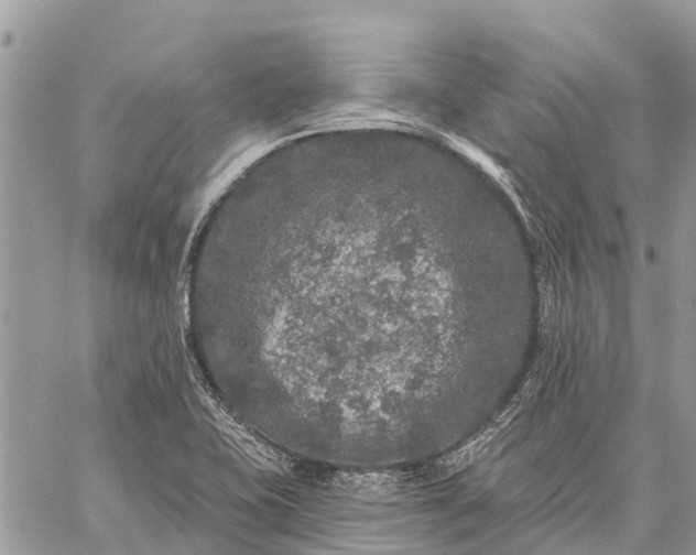 X0000059101415200510211621