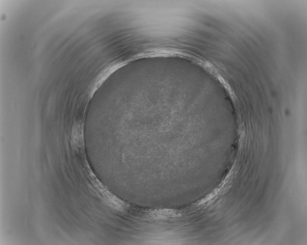 X0000059101417200510211621