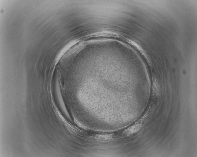 X0000059101418200510211621