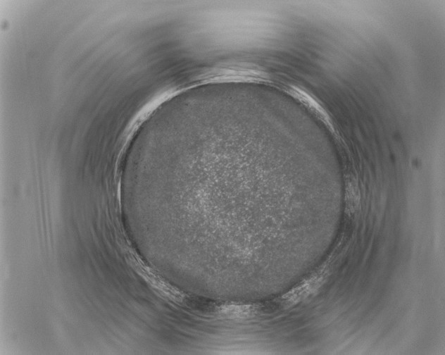 X0000059101419200510211621