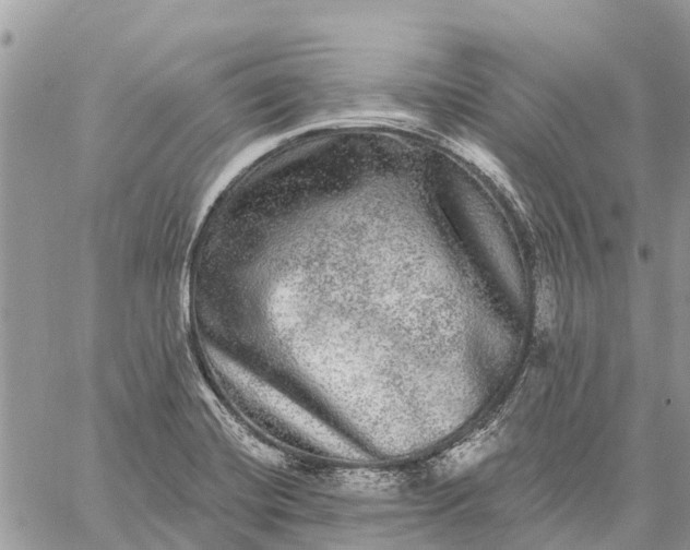 X0000059101420200510211621