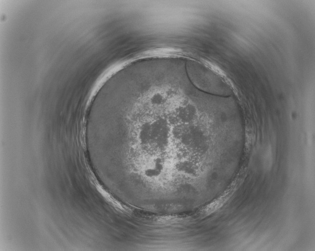 X0000059101421200510211621