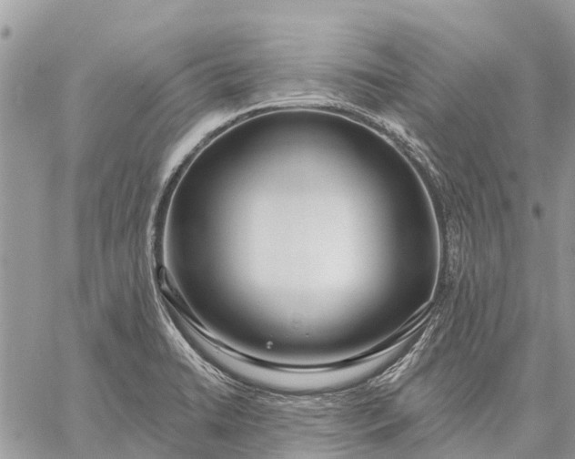 X0000059101422200510211621