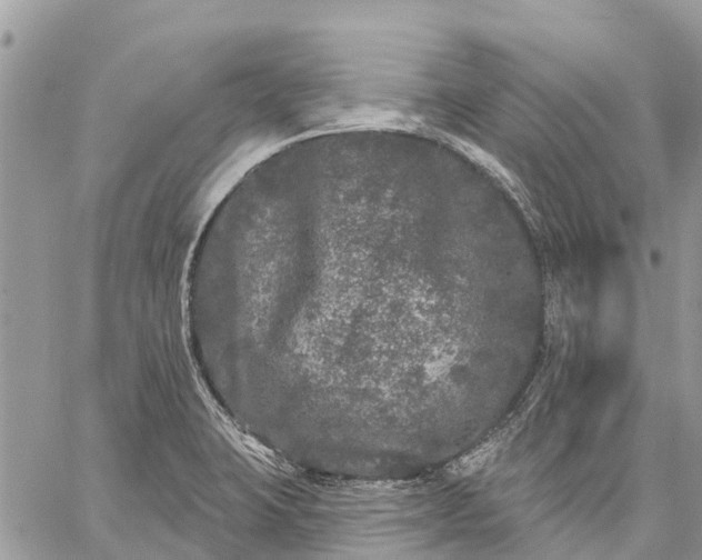 X0000059101423200510211621