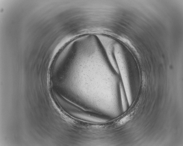 X0000059101424200510211621