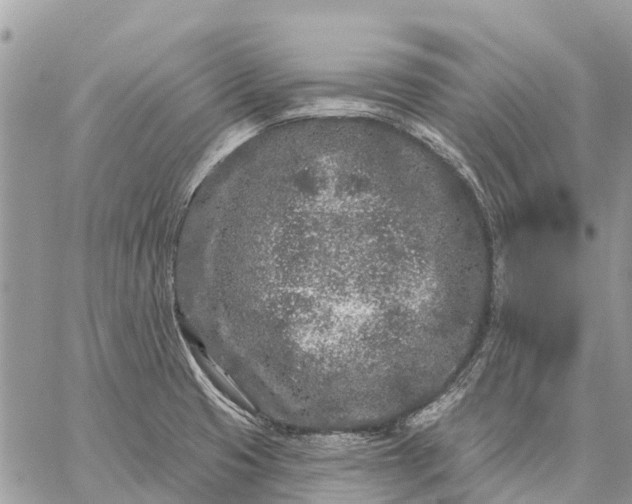 X0000059101425200510211621