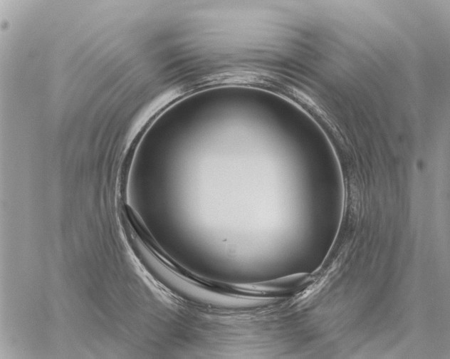 X0000059101426200510211621