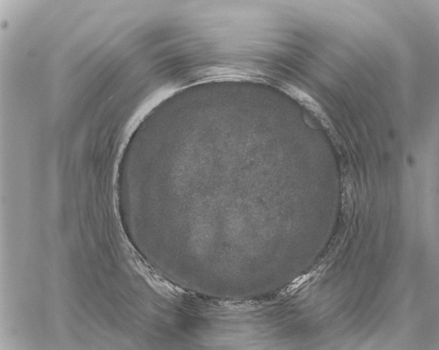 X0000059101427200510211621