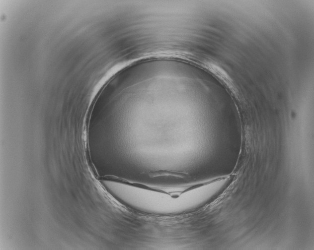 X0000059101428200510211621