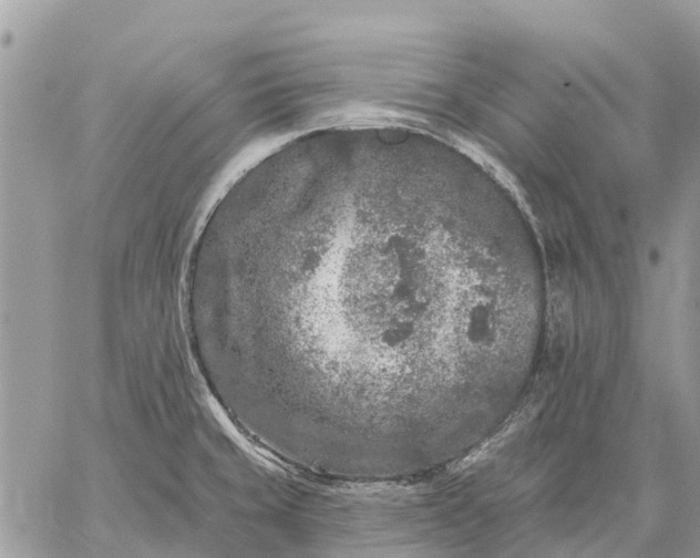 X0000059101429200510211621