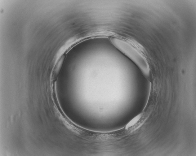 X0000059101430200510211621