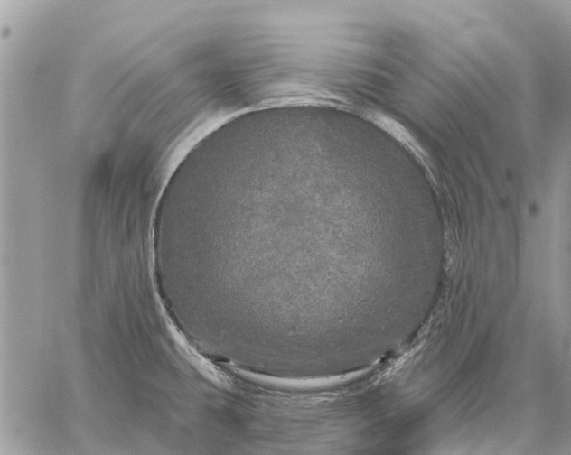 X0000059101431200510211621