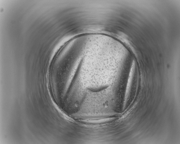 X0000059101432200510211621