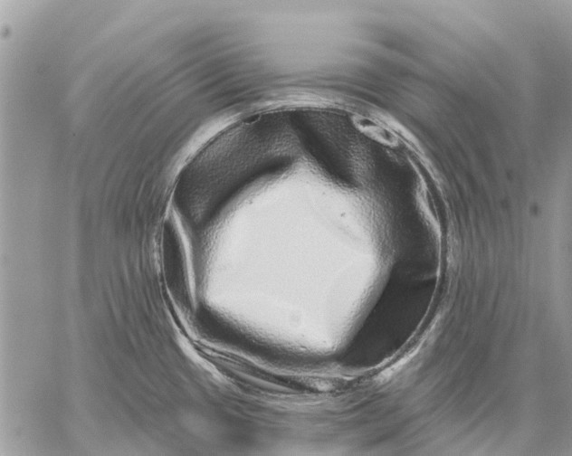 X0000059101433200510211621