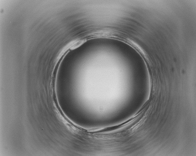 X0000059101434200510211621