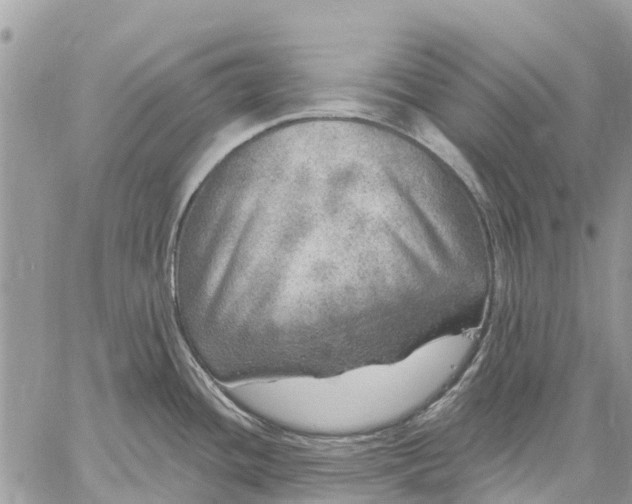 X0000059101436200510211621