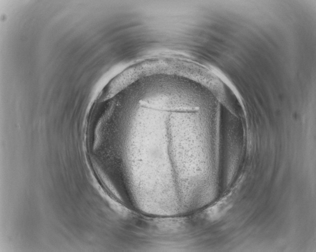 X0000059101437200510211621