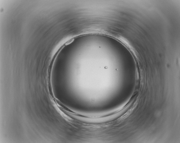 X0000059101438200510211621