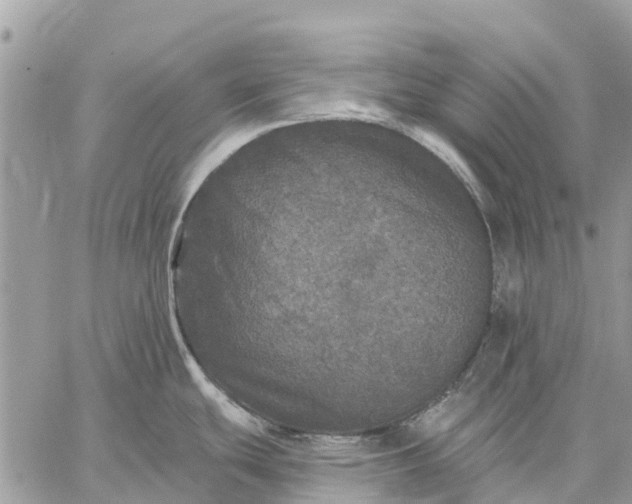 X0000059101439200510211621