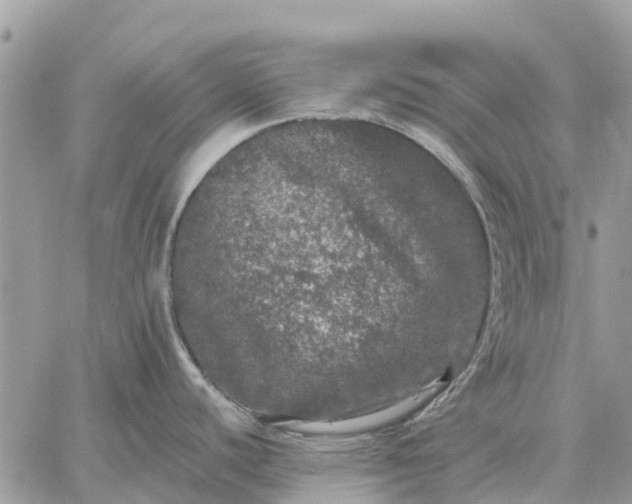 X0000059101440200510211621