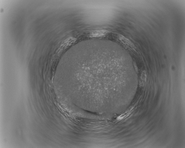 X0000059101441200510211620