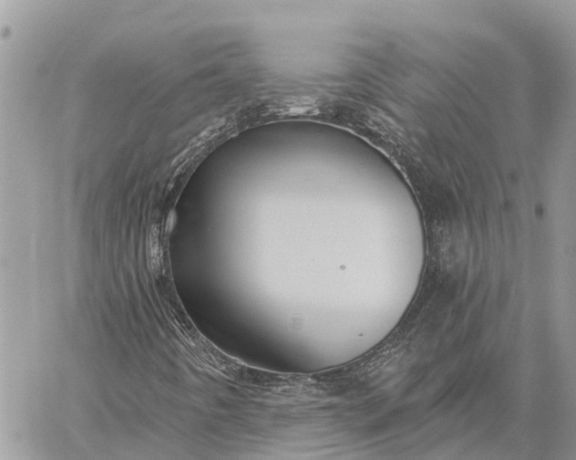 X0000059101442200510211620