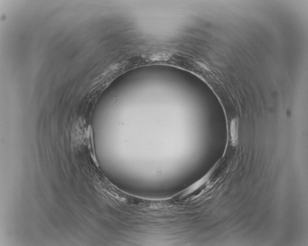 X0000059101443200510211620