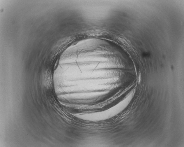 X0000059101444200510211620