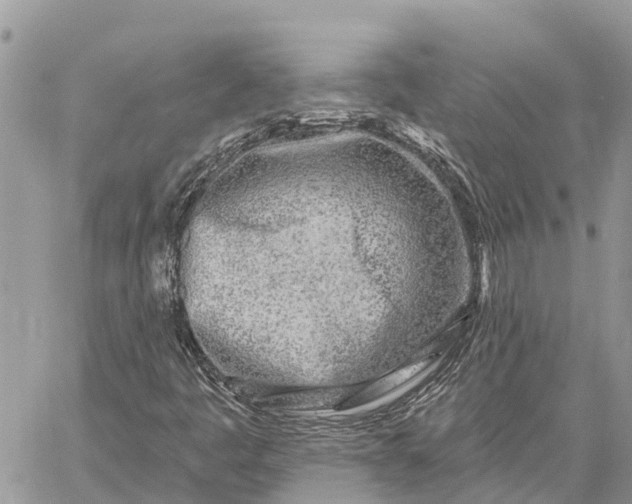 X0000059101445200510211620