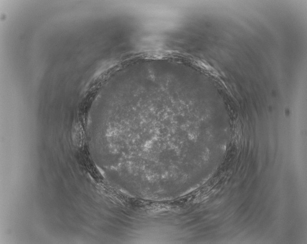 X0000059101446200510211620