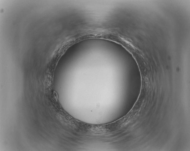 X0000059101447200510211620