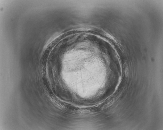 X0000059101448200510211620