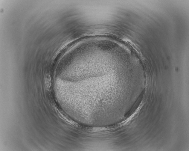 X0000059101449200510211620