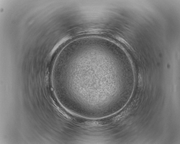 X0000059101450200510211620