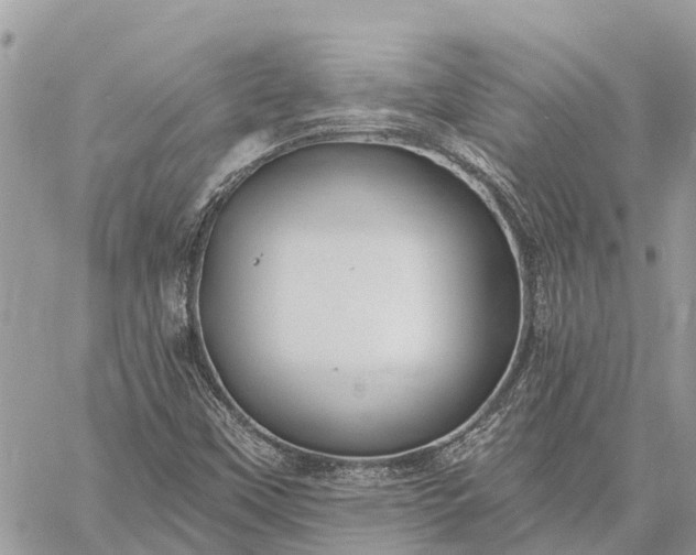 X0000059101451200510211620