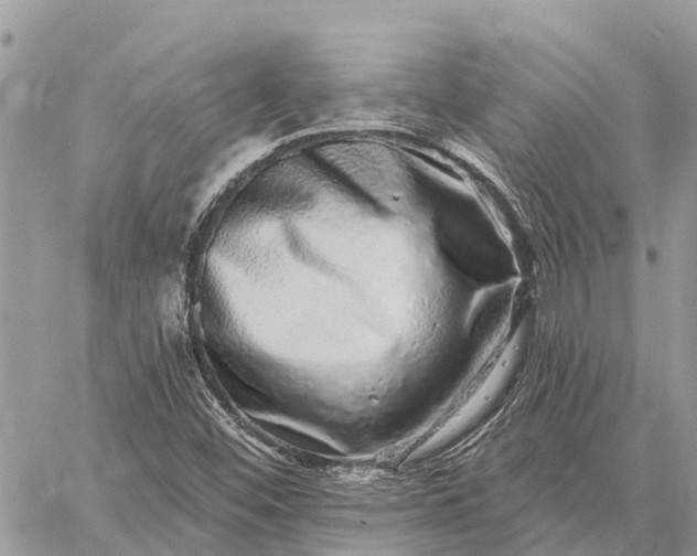 X0000059101452200510211620