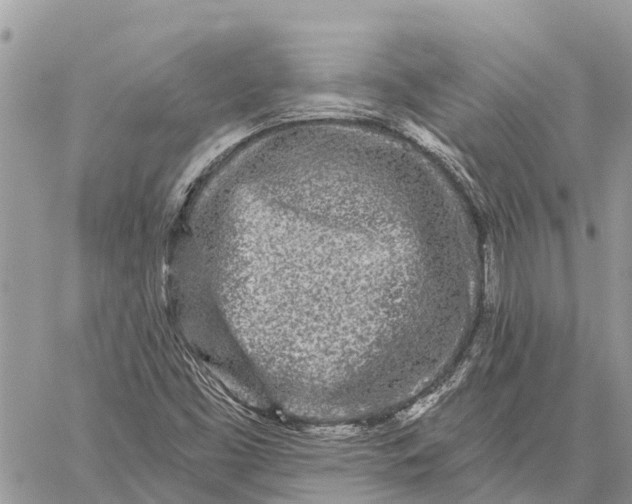 X0000059101453200510211620